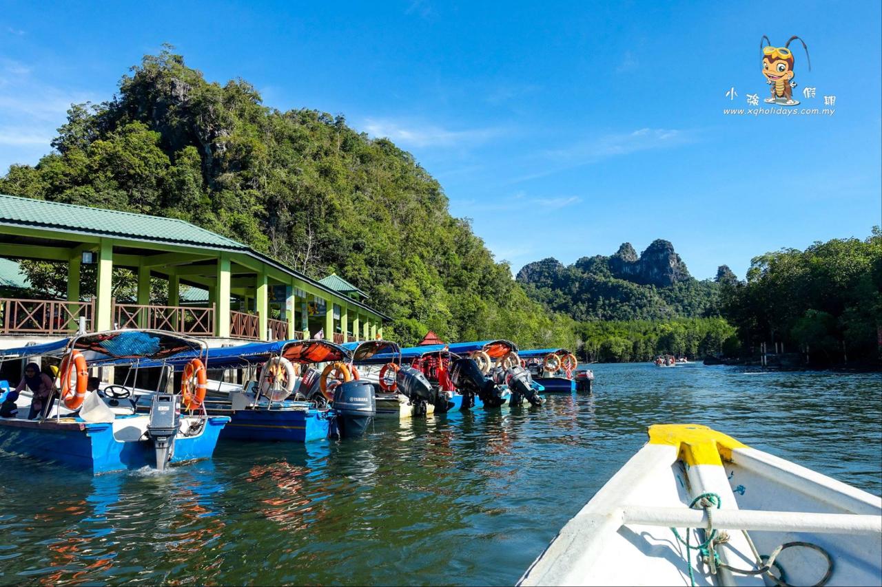 Jelajahi Pesona Mangrove Langkawi: Ekspedisi Alam yang Menakjubkan